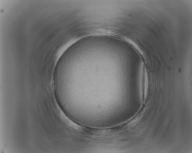 X0000074291387200609081841