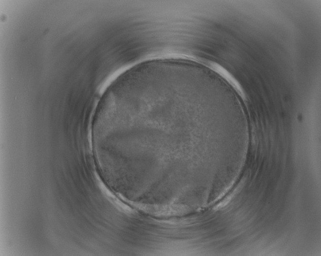 X0000074291388200609081841