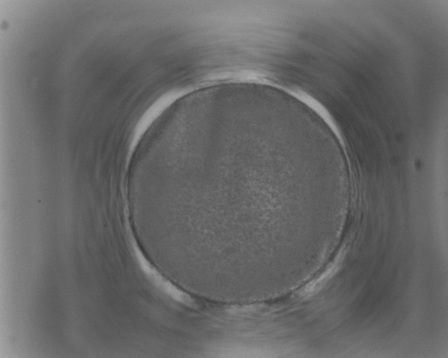 X0000074291389200609081841