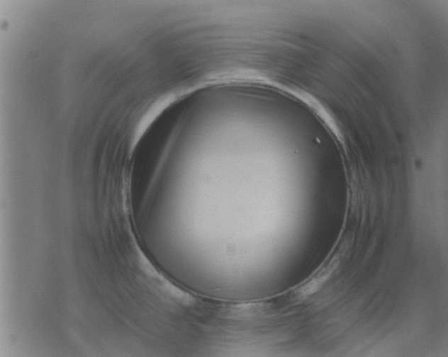 X0000074291390200609081841