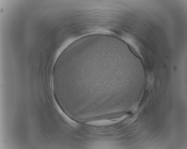 X0000074291391200609081841