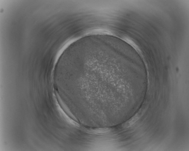 X0000074291392200609081841