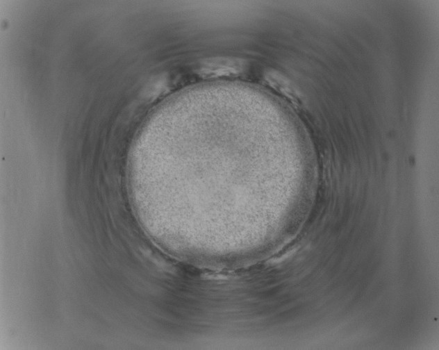 X0000074291393200609081840