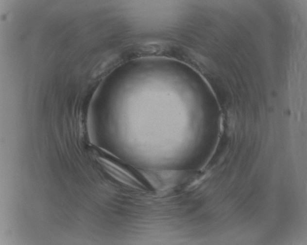 X0000074291394200609081840