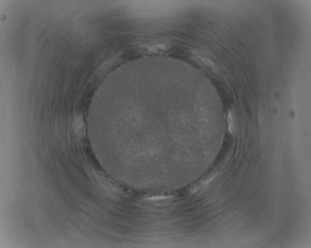 X0000074291395200609081840