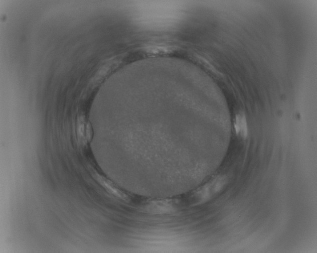 X0000074291396200609081840