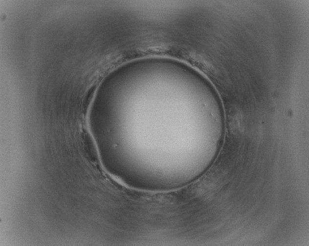 X0000074291397200609081840