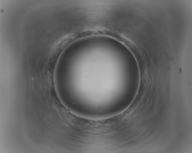 X0000074291398200609081840