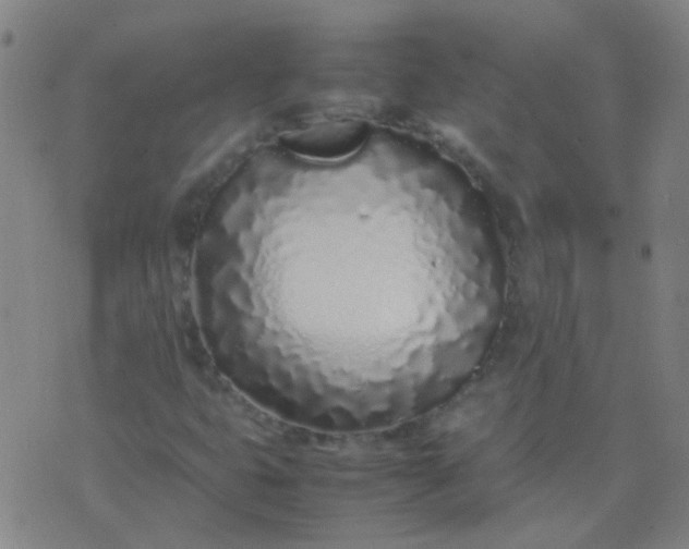 X0000074291399200609081840