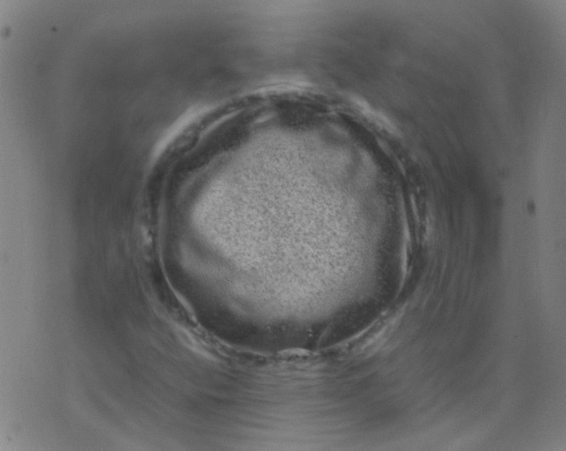 X0000074291400200609081840