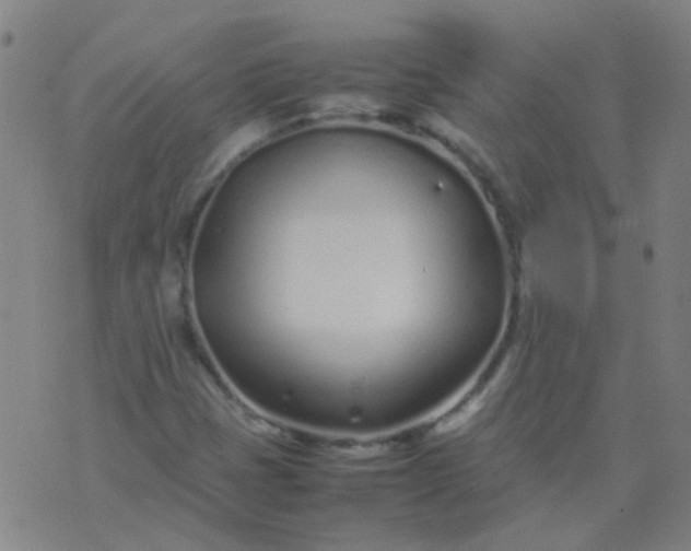 X0000074291401200609081840