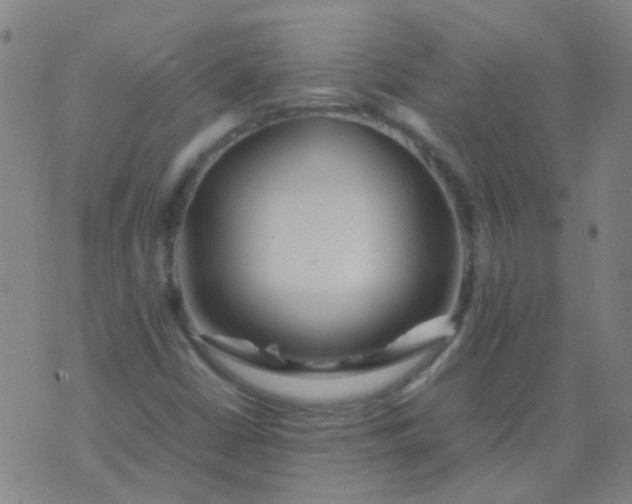 X0000074291402200609081840