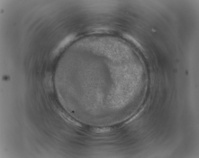 X0000074291403200609081840