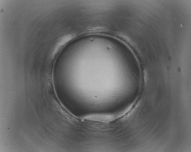 X0000074291405200609081840