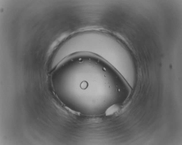 X0000074291406200609081840