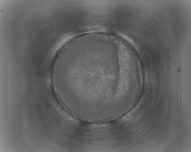 X0000074291407200609081840