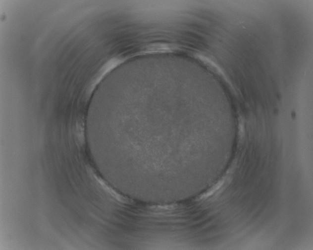 X0000074291409200609081840