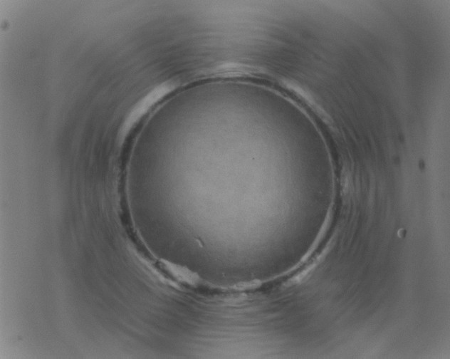 X0000074291410200609081840