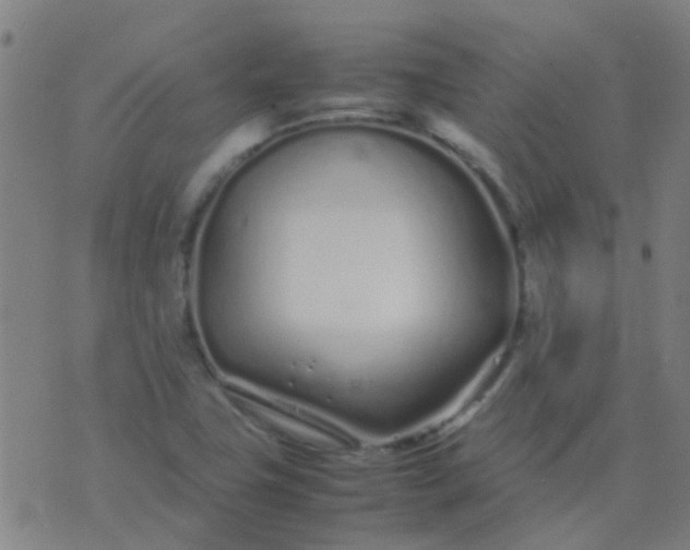 X0000074291411200609081840