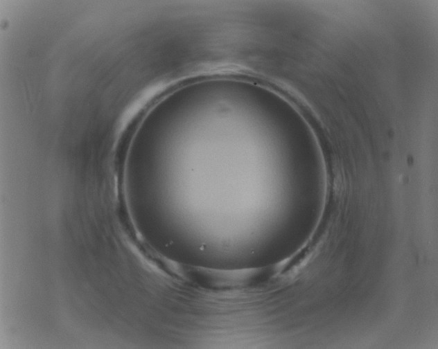 X0000074291414200609081840