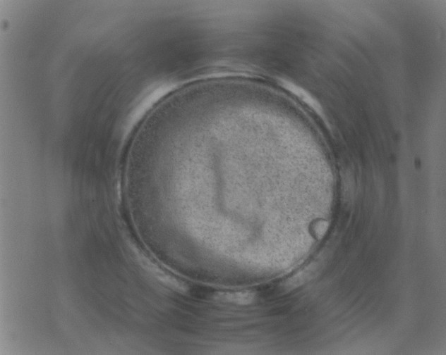 X0000074291415200609081840