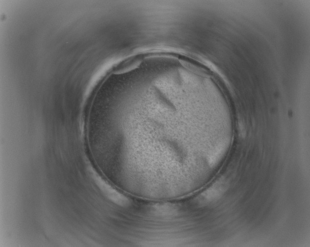 X0000074291416200609081840