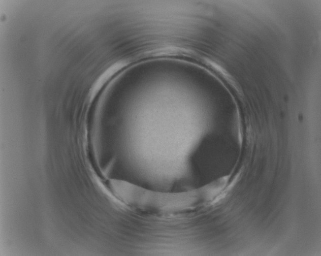 X0000074291418200609081840