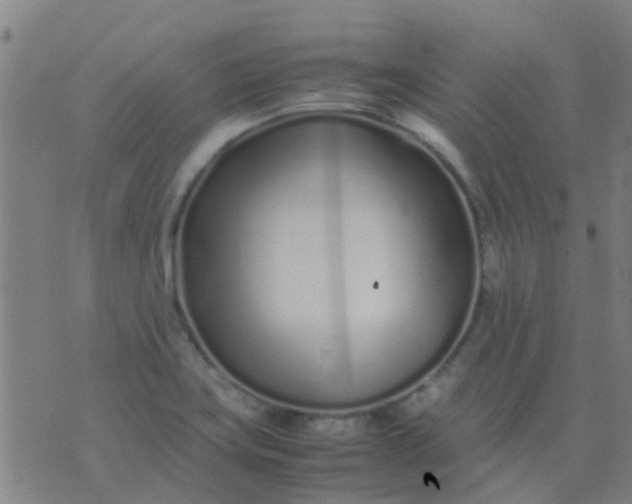 X0000074291419200609081840