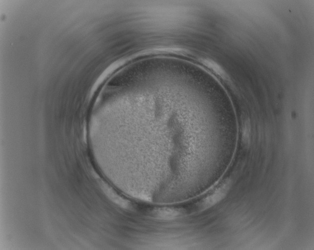 X0000074291420200609081840