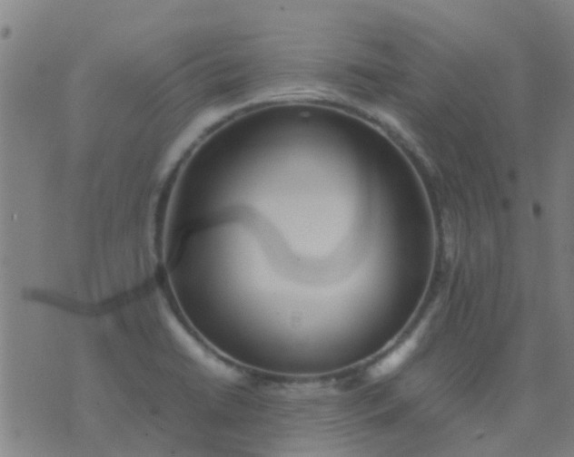 X0000074291422200609081841