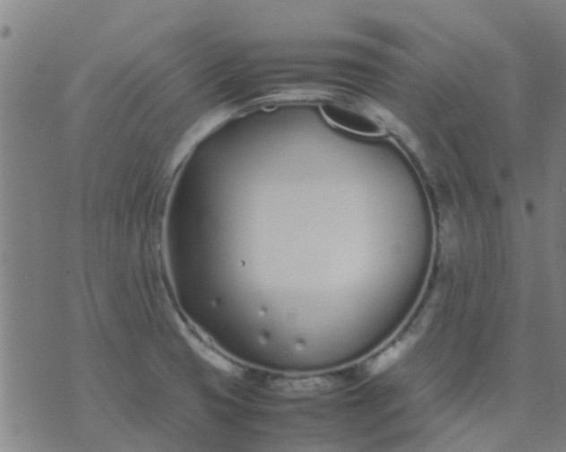 X0000074291425200609081841