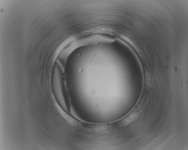 X0000074291426200609081841