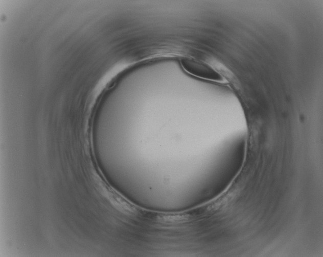 X0000074291427200609081841