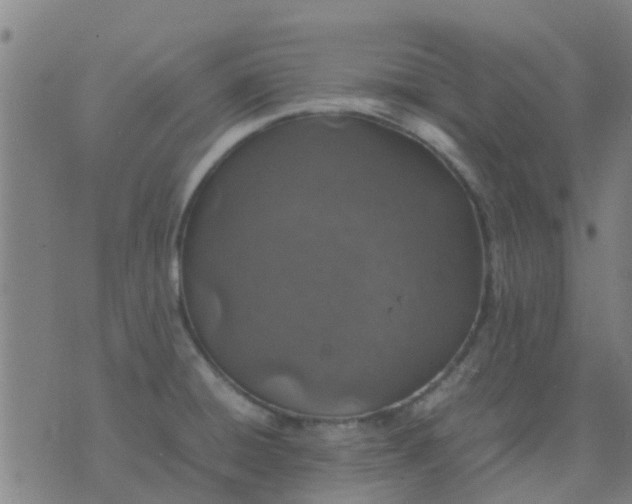 X0000074291428200609081841