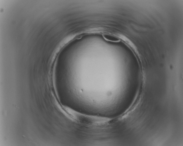 X0000074291429200609081841