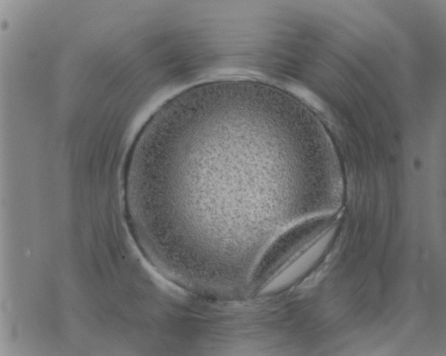 X0000074291430200609081841