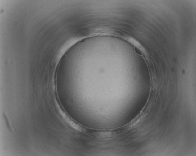 X0000074291431200609081841