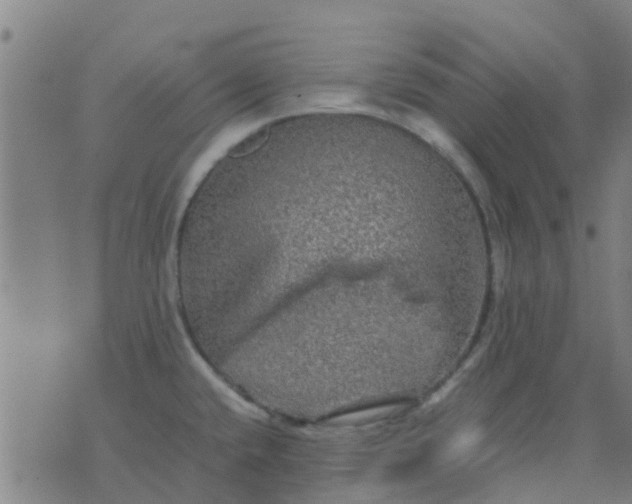 X0000074291432200609081841