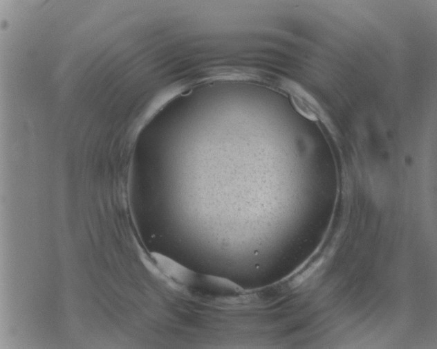 X0000074291433200609081841