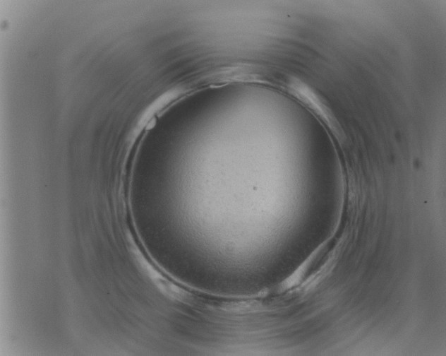 X0000074291434200609081841