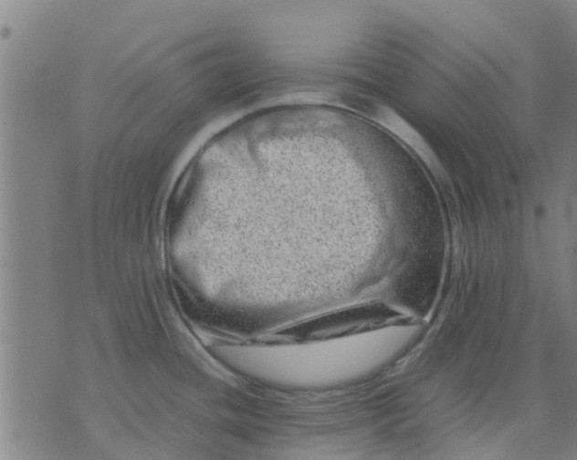 X0000074291436200609081841