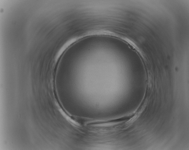 X0000074291438200609081841