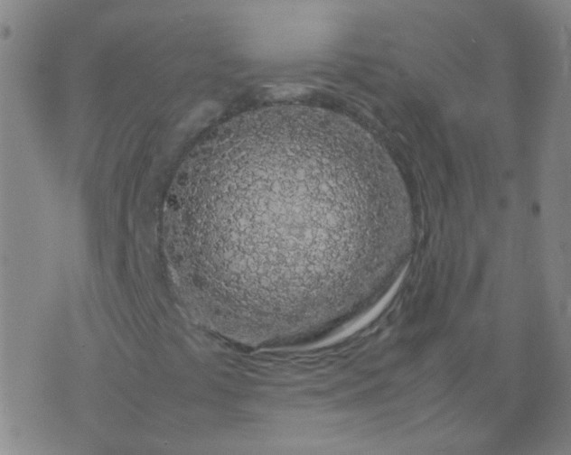 X0000074291441200609081840