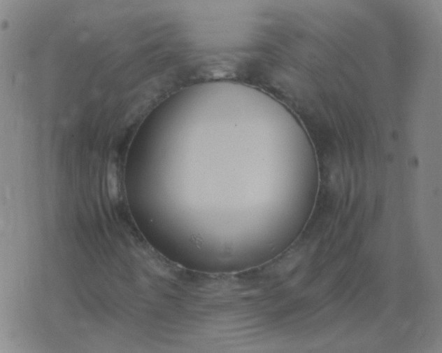 X0000074291442200609081840