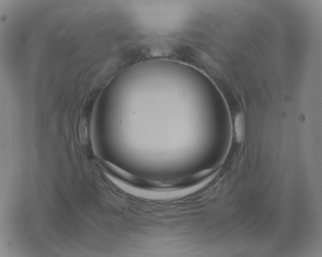 X0000074291443200609081840