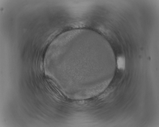 X0000074291444200609081840