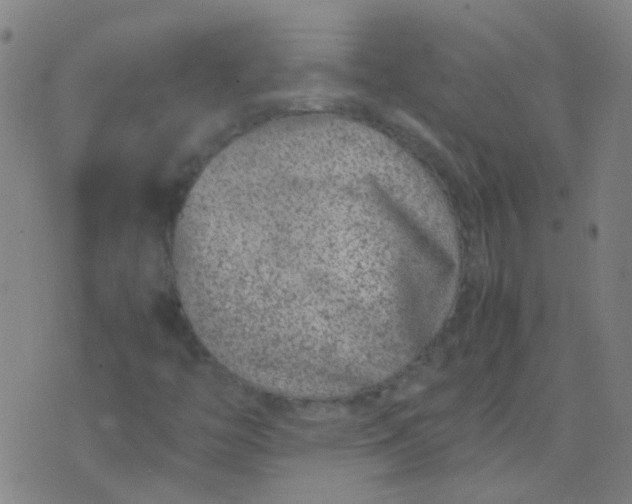 X0000074291446200609081840