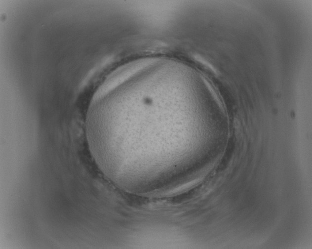 X0000074291447200609081840