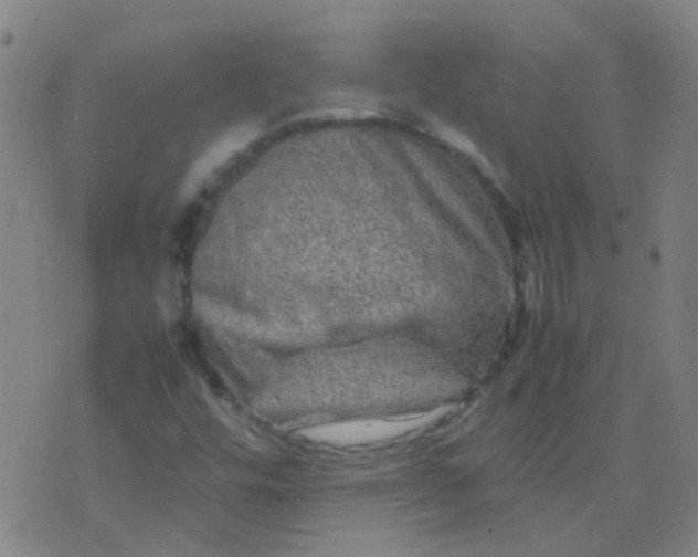 X0000074291448200609081840