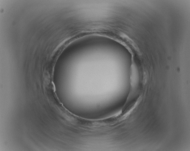 X0000074291449200609081840